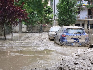 Modalità e i termini per chiedere il rimborso del bollo per ...